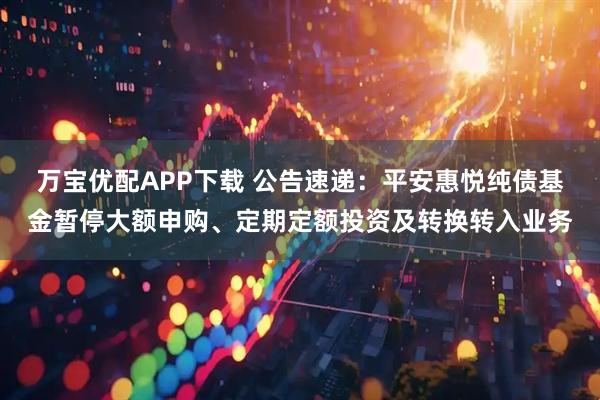 万宝优配APP下载 公告速递：平安惠悦纯债基金暂停大额申购、定期定额投资及转换转入业务