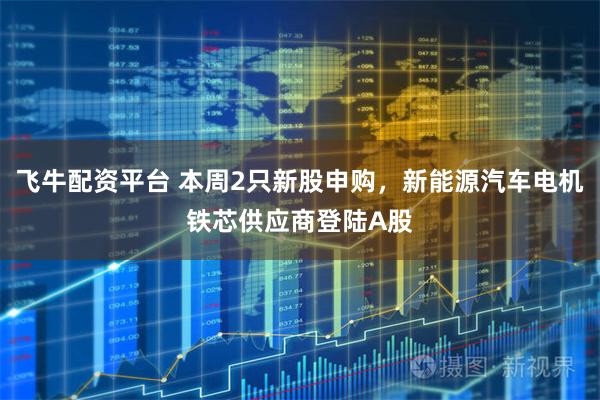 飞牛配资平台 本周2只新股申购，新能源汽车电机铁芯供应商登陆A股