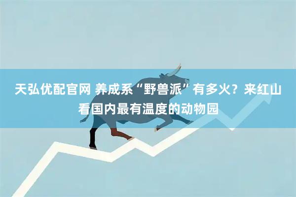 天弘优配官网 养成系“野兽派”有多火？来红山看国内最有温度的动物园