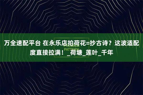 万全速配平台 在永乐店拍荷花=抄古诗？这波适配度直接拉满！_荷塘_莲叶_千年
