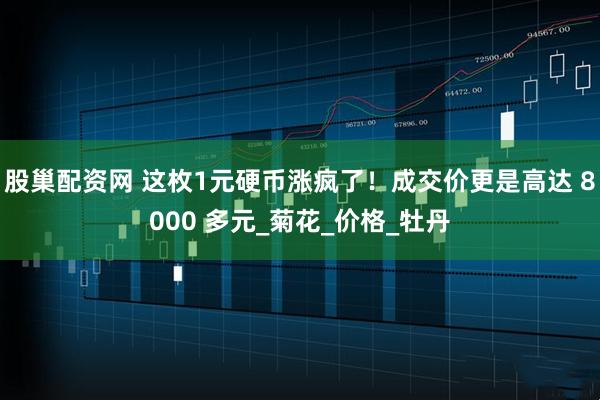 股巢配资网 这枚1元硬币涨疯了！成交价更是高达 8000 多元_菊花_价格_牡丹