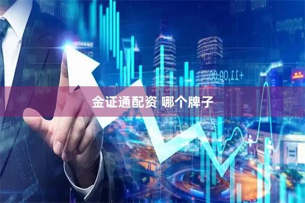 金证通配资 哪个牌子